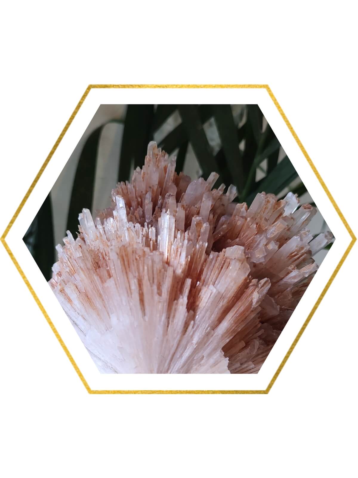 buy crystal shop online